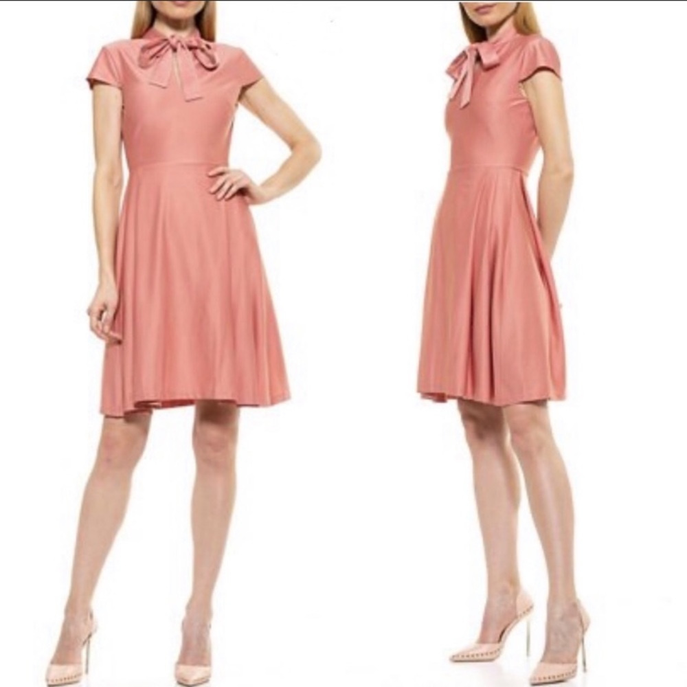 Pink Alexia Admor Dress